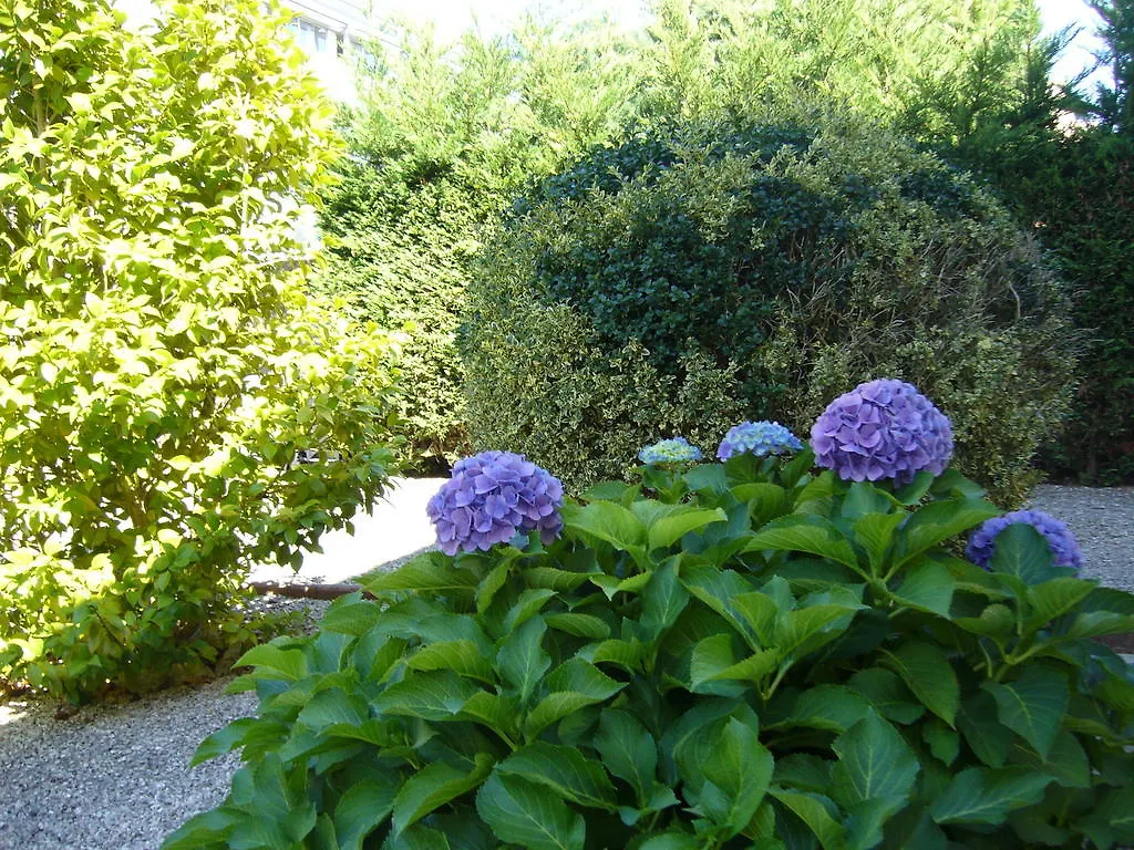 La Maison Pourpre Bed & Breakfast Tarbes